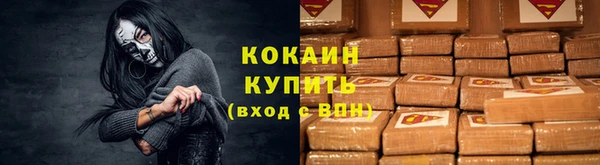 дживик Елабуга