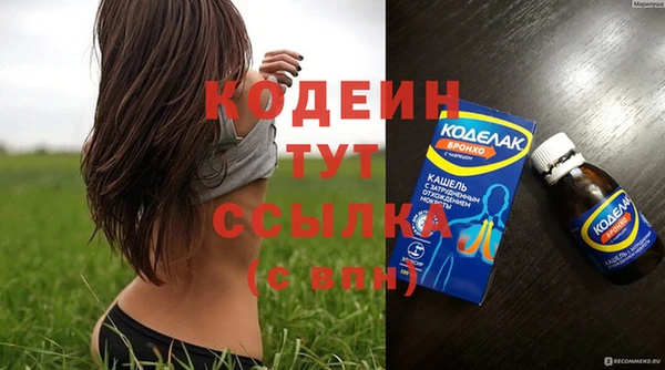 дмт Ельня