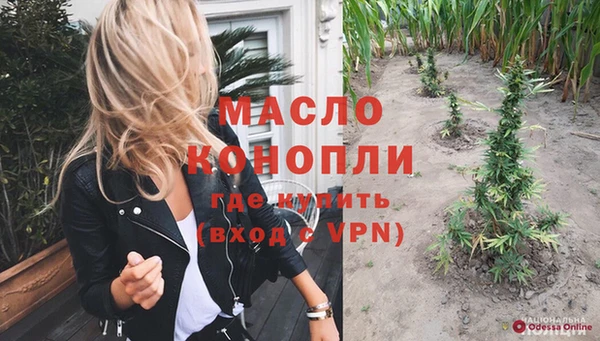 дмт Ельня