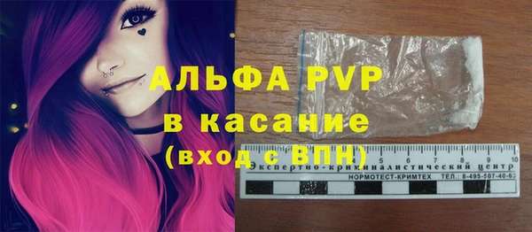 дмт Ельня