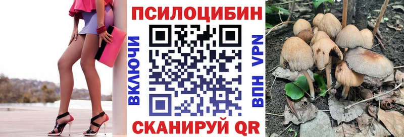 Купить  Калач  Галлюциногенные грибы Cubensis 